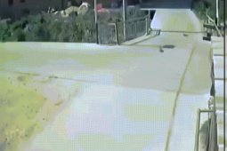 Xe máy - Xe đạp - Clip: Cô gái rất "thần thái" dù bị ô tô hất lên nắp capo