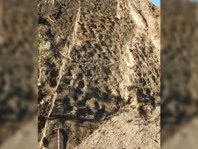 Du lịch - Nắng chiếu đúng góc, "bóng ma" quái thú tự hiện ra giữa rừng