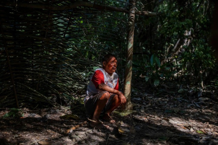 Những người sống sót cuối cùng của bộ tộc bản địa Amazon - 3