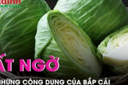 Sức khỏe đời sống - Không chỉ giàu dinh dưỡng, bắp cải còn gây bất ngờ với vô vàn các công dụng chữa bệnh