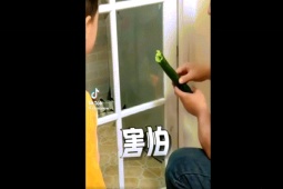 Clip hài hước - Ông bố "trị" con bướng bỉnh khiến dân mạng thích thú