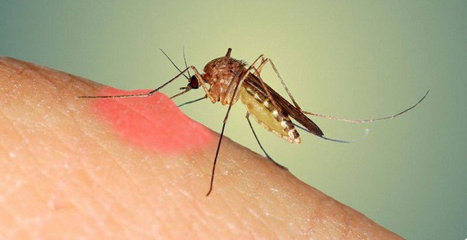 Các yếu tố khiến bệnh sốt xuất huyết trở nên trầm trọng hơn - 3