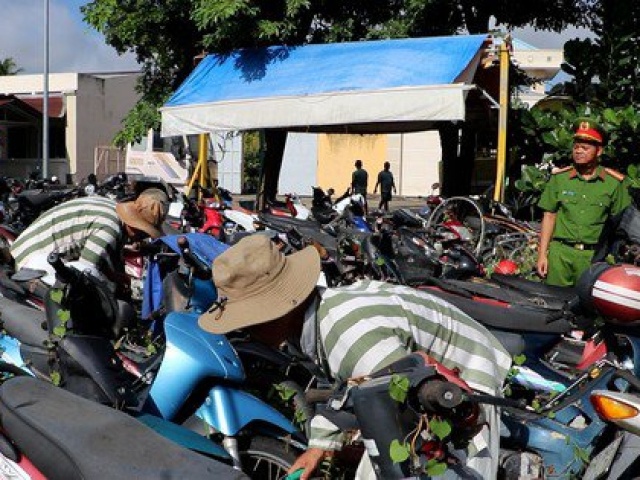 Tin tức trong ngày - Video: Cán bộ nhà tạm giữ giáo dục can phạm ngay từ khi vừa bị bắt