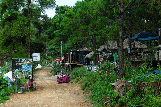 CLIP: Cận cảnh hàng trăm lều lán xâm lấn đất rừng Sóc Sơn - 14