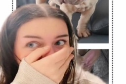 Phi thường - kỳ quặc - Kỳ vọng khi mua chó online với giá 23 triệu, cô gái ngỡ ngàng khi nhận hàng