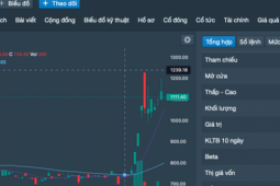 Kinh doanh - Vì sao mã chứng khoán có giá cao nhất thị trường hủy đăng ký 7,1 triệu cổ phiếu?