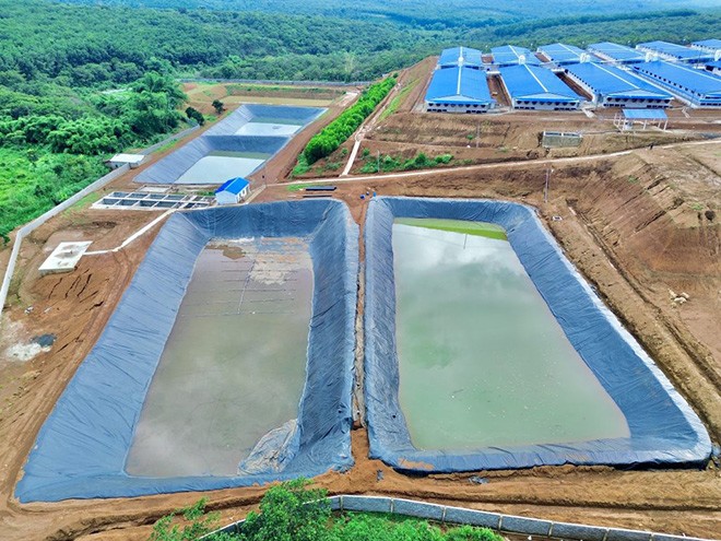 Màng chống thấm HDPE xử lý nước thải chăn nuôi tại trại Hải Quang