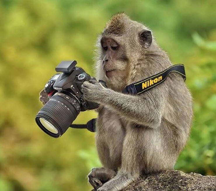 Nhìn vẻ mặt của chú nhỉ, chắc nó rất hài lòng với công việc của mình.
