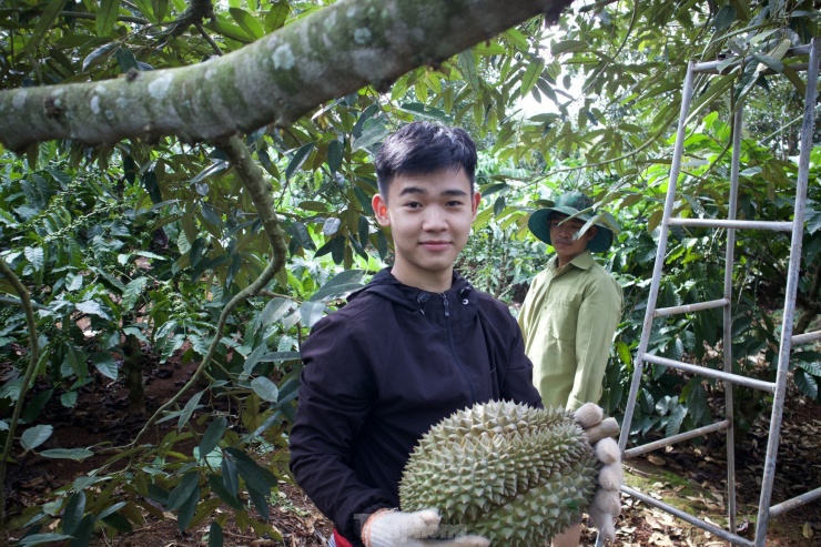Thở phào nhẹ nhõm, vui mừng khi đỡ thành công trái sầu riêng