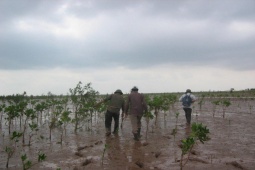 Tin tức trong ngày - Thái Bình thu hẹp gần 90% khu Bảo tồn thiên nhiên Tiền Hải: Bất chấp luật và Công ước quốc tế?