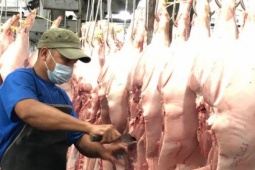 Thị trường - Tiêu dùng - Mở sàn giao dịch, thịt heo có rẻ hơn?