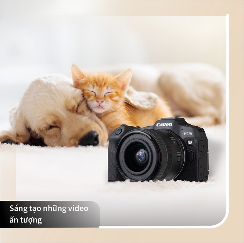 Khám phá khả năng sáng tạo video với Canon EOS R8 - 4