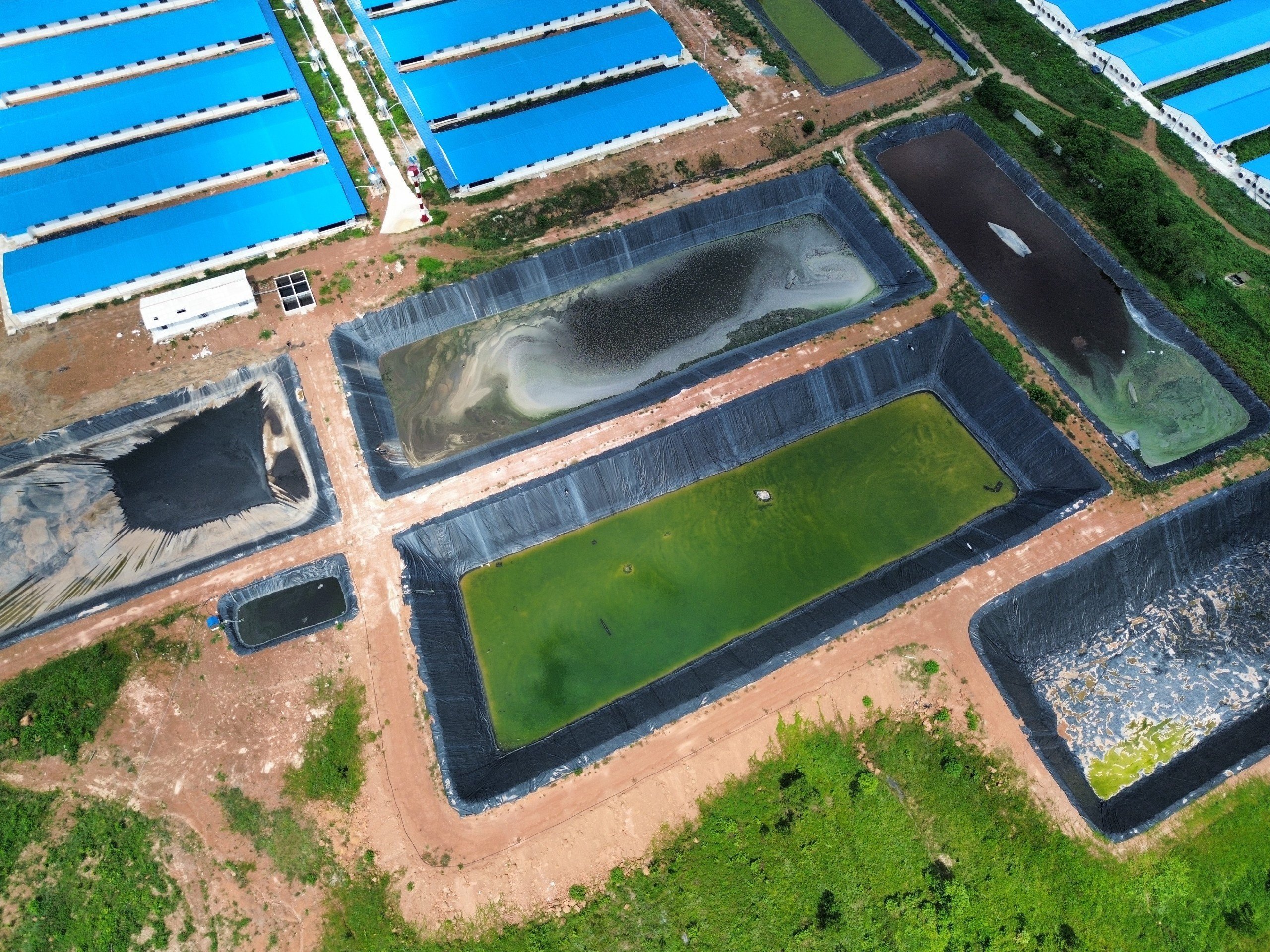 Bông Sen Vàng Group thi công màng chống thấm HDPE cho hồ xử lý nước thải tại trại Hải Quang, Bình Phước