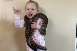 Cô bé 4 tuổi vui vẻ chơi với rắn khiến ai cũng “hết hồn”