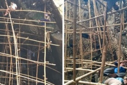 Thị trường - Tiêu dùng - Thứ "thượng phẩm" ở Việt Nam, cực kỳ hiếm, giá vô cùng đắt đỏ