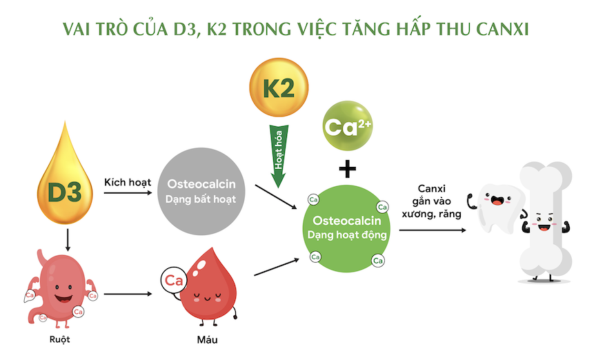 Umi Canxi - Bộ ba dưỡng chất canxi hữu cơ, vitamin D3, K2 cho trẻ cao lớn vượt trội - 2