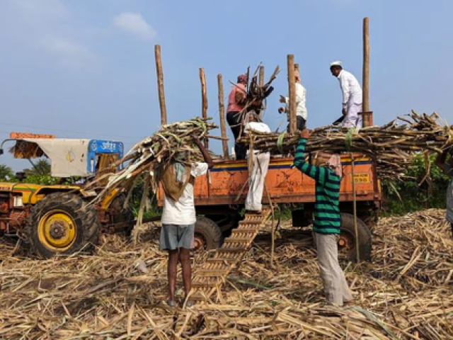 Sau 1 tháng cấm xuất khẩu gạo, Ấn Độ tiếp tục có động thái gây lo ngại