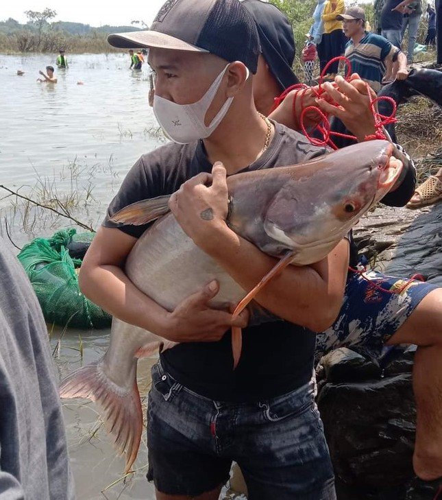 Thủy điện Trị An đóng đập tràn, người dân được mùa bắt cá 'khủng' - 6