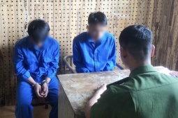 An ninh - Xã hội - Bắt hai thanh niên thuê taxi đi trộm sầu riêng