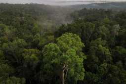 Công nghệ thông tin - &quot;Báo động đỏ&quot; khí thải CO2 trên Trái đất, cao chưa từng có trong 800 năm