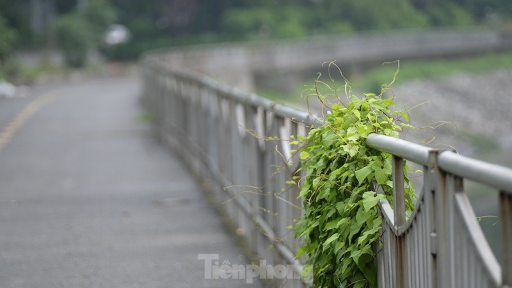 Theo ghi nhận của phóng viên, trên tuyến đường đi bộ ven sông Tô Lịch, hiện nay không còn tình trạng tập kết và đổ trộm rác thải.