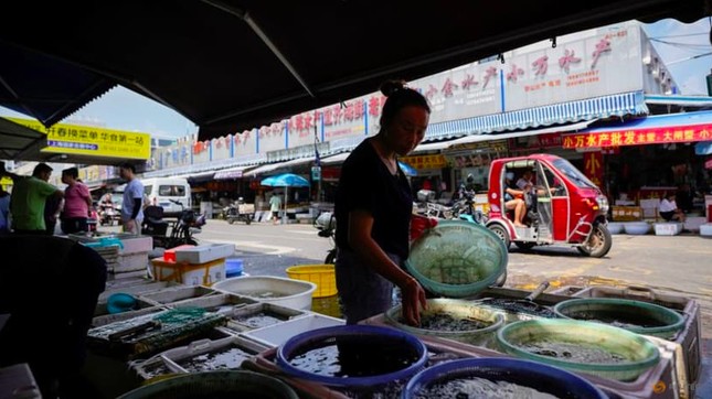 Một quầy bán hải sản ở Thượng Hải ngày 25/8. (Ảnh: Reuters)
