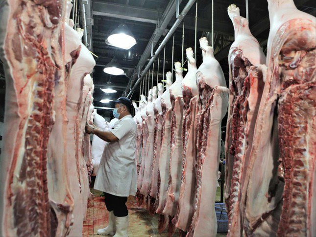 Trong khi xuất khẩu nhỏ giọt, Việt Nam chi tới hơn 2 tỷ USD để nhập khẩu thịt, các sản phẩm thịt trong 7 tháng qua
