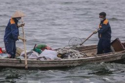 Hà Nội: Huy động thêm ca nô sục nước, vớt cá chết ở hồ Tây