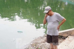Tin tức trong ngày - Nguyên nhân cá chết nhiều ở hồ Tây vào đêm và rạng sáng