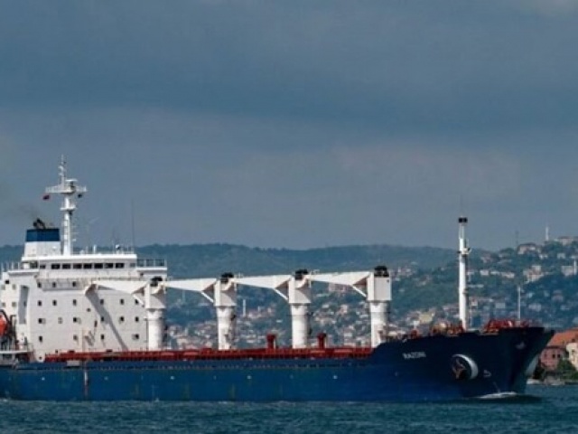 Thế giới - Không có giải pháp thay thế thỏa thuận ngũ cốc Biển Đen