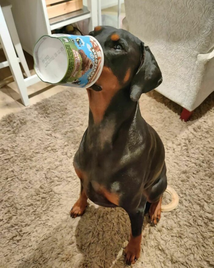 Ôi tuyệt vời, sô cô la.
