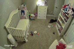 Clip: Phản ứng của chú chó khi lẻn vào phòng của em bé “gây sốt”