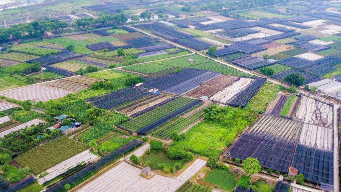 Quyết định số 24 của UBND TP Hà Nội về đấu giá quyền sử dụng đất để giao đất hoặc cho thuê đất trên địa bàn, có nội dung trái pháp luật. Ảnh: NLĐO