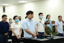 Vụ “nâng khống giá cây xanh”: Cựu Chủ tịch TP Hà Nội Nguyễn Đức Chung và 14 bị cáo lĩnh án