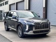 Đại lý Việt Nam nhận đặt cọc Hyundai Custo và Hyundai Palisade