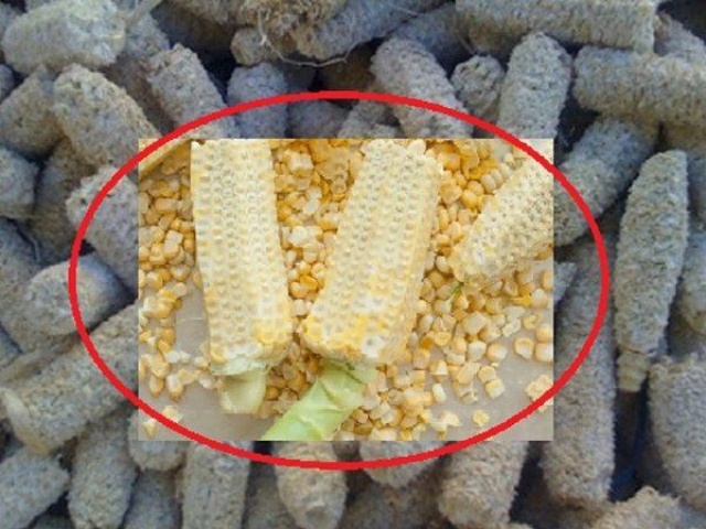 Ẩm thực - Tưởng là "phế phẩm" nhưng lõi ngô còn có công dụng tuyệt vời đến vậy