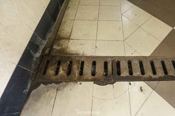 Hệ thống cống rãnh dưới hầm không được vệ sinh, dọn dẹp.