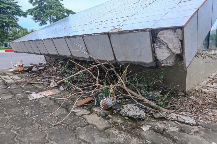 Rác bủa vây, bốc mùi xú uế xung quanh cửa hầm đi bộ.