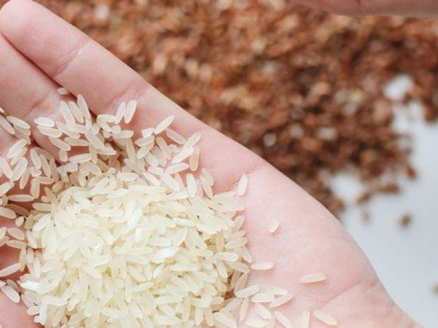 Giá gạo xuất khẩu Việt Nam tiếp tục tăng