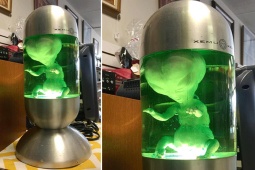 Tranh vui - Người bình thường lại thích thứ “bất thường”