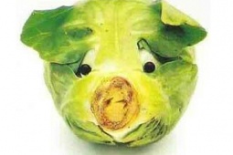 Tin vịt: Cho dù bạn thích ăn chay nhưng cái dạ dày cứ khoái “ăn mặn”