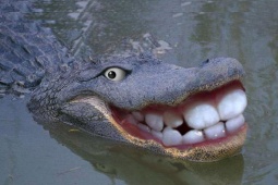 Tin vịt: Dù nghỉ dài ngày nhưng riêng món... cười vẫn cứ phải là... suốt 24 giờ