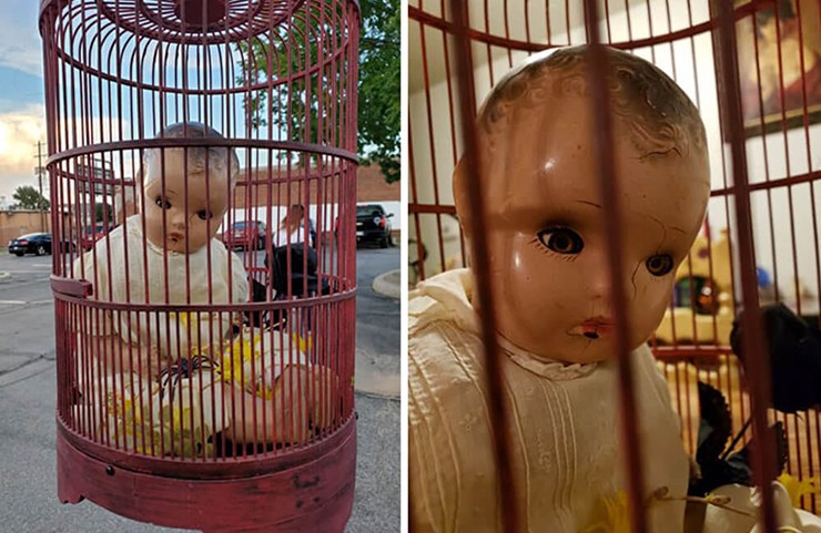 Đứa bé trong lồng chim chắc chắn sẽ trở thành một chủ đề trò chuyện thú vị cho bất kỳ ai ghé thăm nhà.
