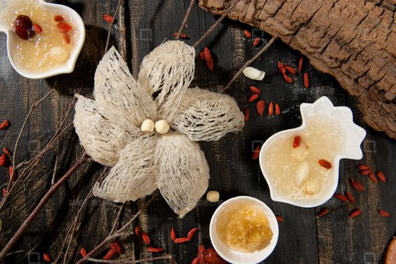 Yến sào - Món quà thượng hạng từ thiên nhiên cho sức khỏe