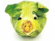 Tin vịt: Cho dù bạn thích ăn chay nhưng cái dạ dày cứ khoái “ăn mặn”