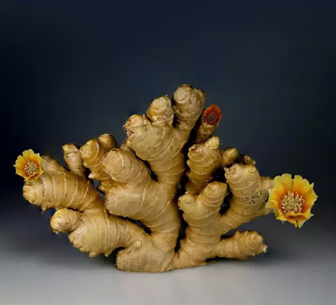 Củ gừng được biết đến với tính chống viêm và chống oxy hóa. Ảnh: Pexels.