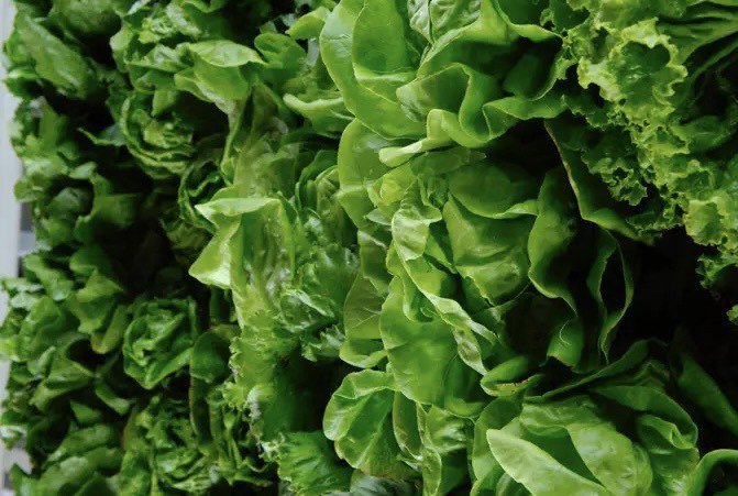 Rau xanh lá chứa nhiều vitamin và khoáng chất thiết yếu cần thiết cho cơ thể để xây dựng khả năng miễn dịch và duy trì mức độ khỏe mạnh. Ảnh: Pexels.