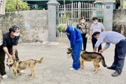 Tin tức trong ngày - Bé gái ở Quảng Bình tử vong sau 4 tháng bị chó dại cắn