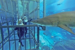 Tranh vui - Bạn như sống ở thời đại khác khi đến Dubai