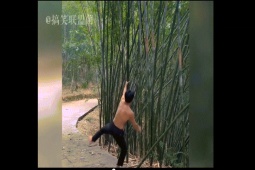 Clip hài hước - Kinh ngạc với những khoảnh khắc triệu view